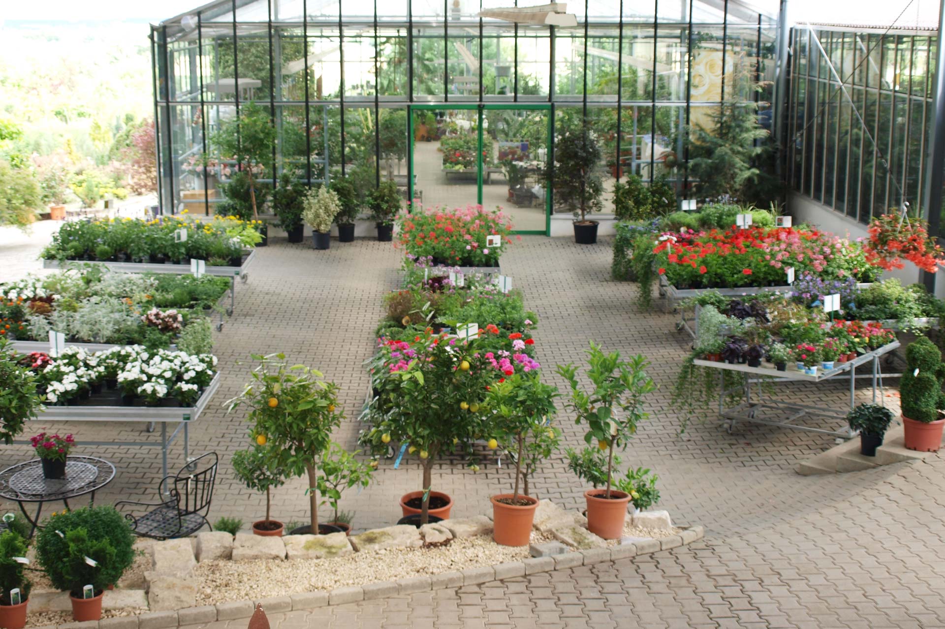 Scheerer Baumschulen & Gartencenter in Langenau/ Albeck, Baden Württemberg, Pflanzenmarkt, Produkvielfalt, Pflanzen, Bäume, Gartengestaltung